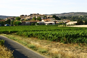 Clairette du Languedoc appellation, Languedoc wines and food pairing tips