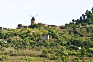 Faugeres appellation, Languedoc wine and food pairing tips