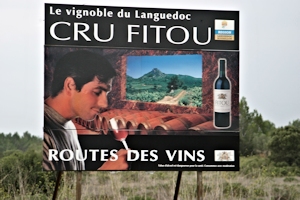 Fitou appellation, Languedoc wine and food pairing tips