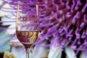 Muscat appellation, Languedoc wines and food pairing tips
