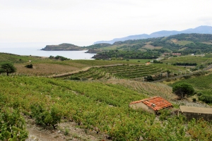C&ocirc;tes du Roussillon wine and food pairing