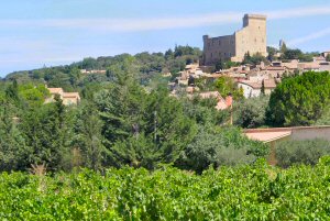 Chateauneuf wine and food pairing