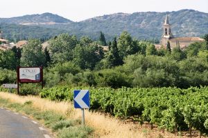 Lirac wine and food pairing tips