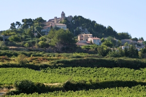 Rasteau, C&ocirc;tes du Rh&ocirc;ne village wine and food pairing tips