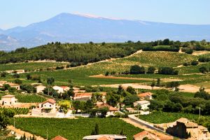 C&ocirc;tes du Ventoux wine