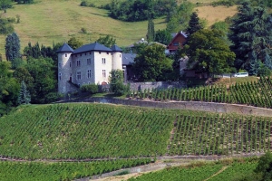 AOC Roussette de Savoie, vins de Savoie